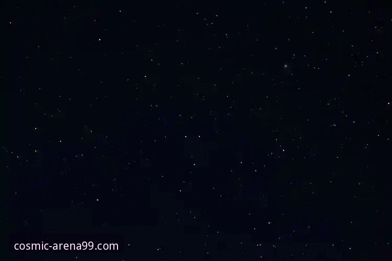 星空体育官网登录实用指南：解锁极致竞技体验的必备知识